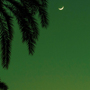 叶凯薇最惊艳十张写真
